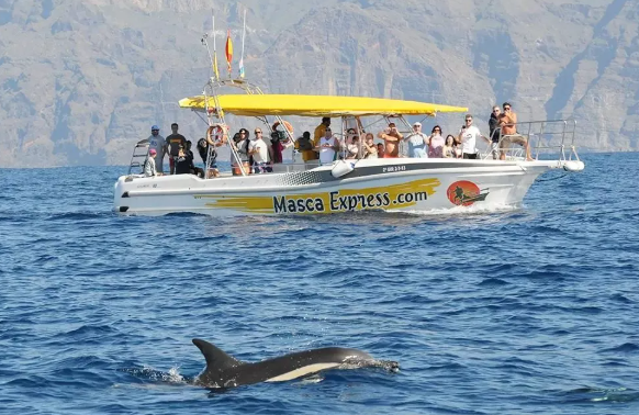 Barco Masca Express